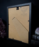 Taxidermy Oddity Asylum in Gothic Shadowbox Frame By Oddity Asylum