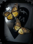 Monarch Butterfly Pair Planchette