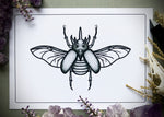 Taxidermy Rhinoceros Beetle Specimen Print in Gothic Shadowbox Frame By Oddity Asylum