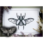 Beetle Print + Moth Pin (FREE)