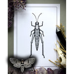 Grasshopper Print + Moth Pin (FREE)