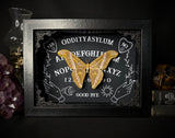 Eri Silk Moth Ouija