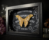 Eri Silk Moth Ouija
