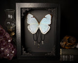 Mint Morpho Butterfly Crystals