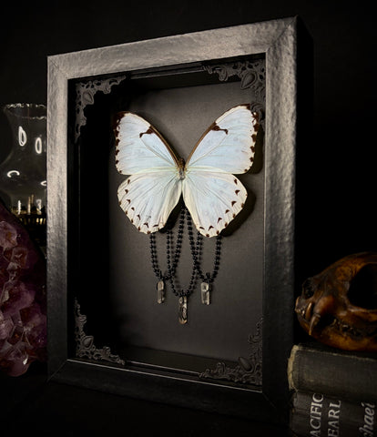 Mint Morpho Butterfly Crystals