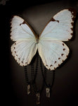 Mint Morpho Butterfly Crystals