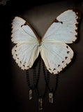 Mint Morpho Butterfly Crystals