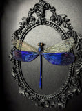 Great Blue Metal Damselfly