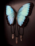 Common Morpho Butterfly Crystals