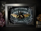 Giant Atlas Beetle Ouija