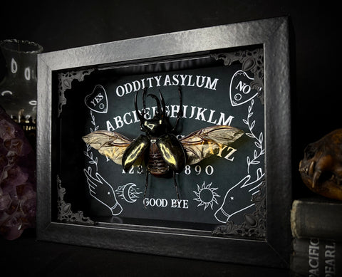 Giant Atlas Beetle Ouija