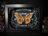 Bullseye Moth Ouija