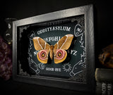 Bullseye Moth Ouija