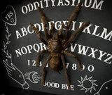 Cocoa Tarantula Ouija