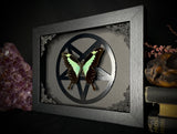 Apple Green Butterfly Inverted Pentagram