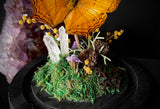 Cruiser Butterfly Dome
