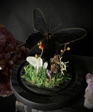Pink Rose Butterfly Dome