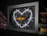 Deaths Head Moth Barbwire Heart