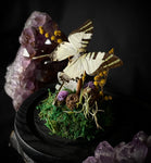 SwordTail Butterfly Dome