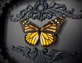 Monarch Butterfly