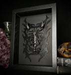 Forest Scorpion