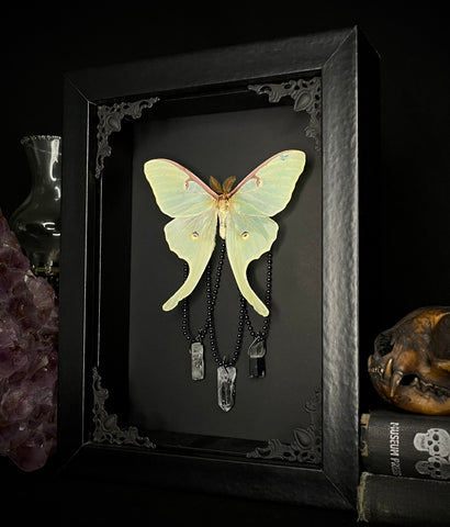 Luna Moth Crystals