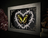 Malachite Butterfly Barbwire Heart