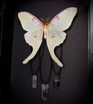 Luna Moth Crystals