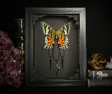 Sunset Moth Cross