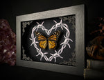 Monarch Butterfly Barbwire Heart