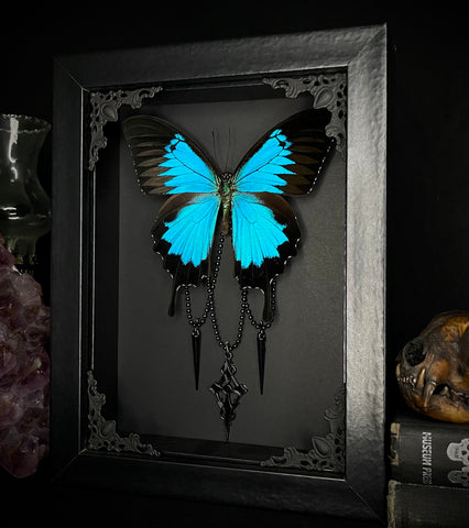 Ulysses Butterfly Cross