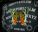 Sunset Moth Ouija