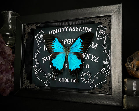 Ulysses Butterfly Ouija