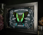 Peacock Swallowtail Ouija