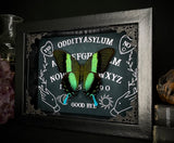 Peacock Swallowtail Ouija