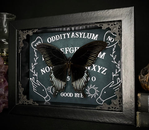 Black Phoenix Ouija