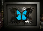Ulysses Butterfly