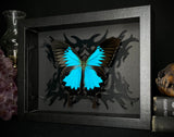 Ulysses Butterfly