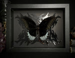 Black Phoenix Butterfly