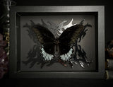 Black Phoenix Butterfly