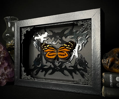 Tropical Milkweed Butterfly