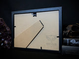 Taxidermy Great Mormon Butterfly on Ouija Board in Gothic Shadow box Frame by Oddity Asylum