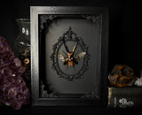 Golden Metallic Stag Beetle