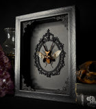 Golden Metallic Stag Beetle