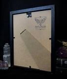 Taxidermy Great Mormon Butterfly in Gothic Shadow box Frame by Oddity Asylum