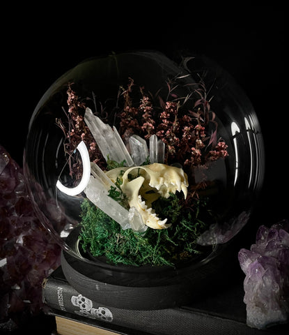 Mink Skull + Crystals Dome