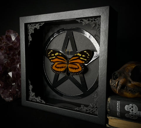 Tropical Milkweed Butterfly Pentagram