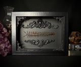 Red Headed Centipede