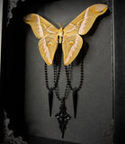 Eri Silk Moth