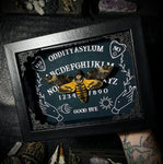 Deaths Head Moth on Ouija Board